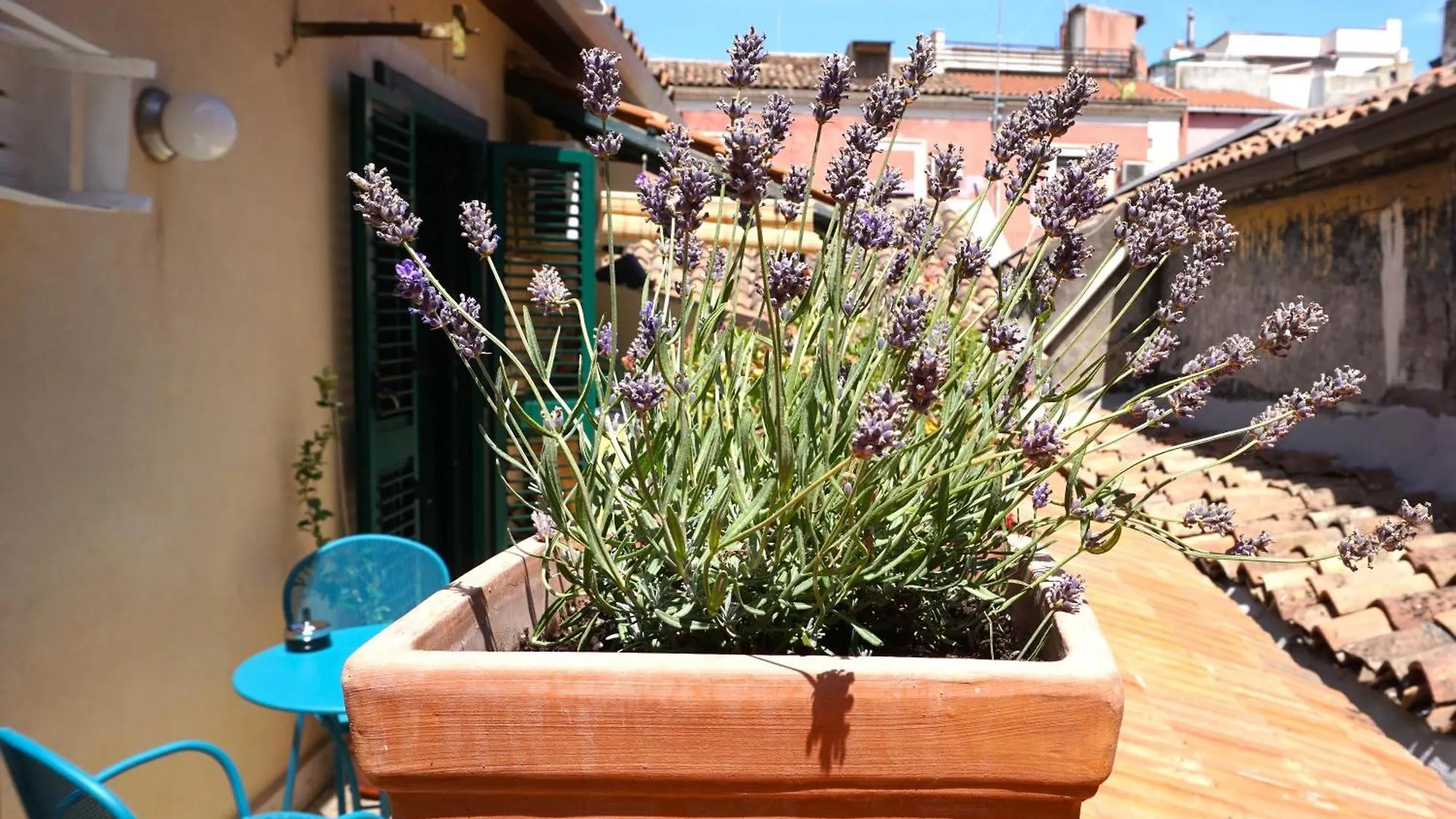 Apartment Ferienwohnung Casa Catelli CTA Italien